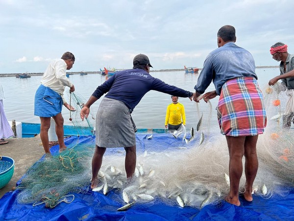 Representative Image (Source: Pexels)