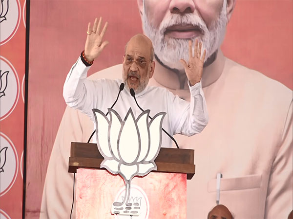 Union Home Minister Amit Shah. (Photo/ANI)