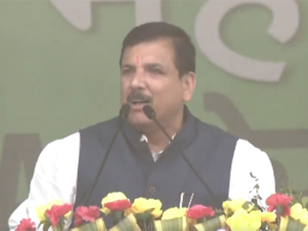 AAP leader Sanjay Singh (Photo/ANI)