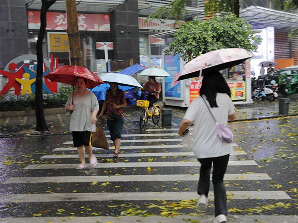 People walk on road amid rainstorm in Guangdong's Shenzhen (Image Credit: Reuters)