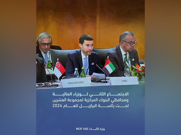 UAE Minister of State for Financial Affairs Mohamed bin Hadi Al Hussaini participates in second meeting of Finance Ministers and Central Bank Governors of G20 (Image Credit: X/@MOFUAE)