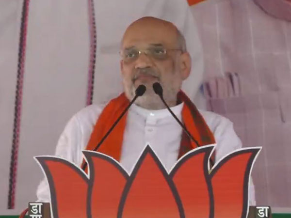 Union Home Minister Amit Shah (Photo/ANI)