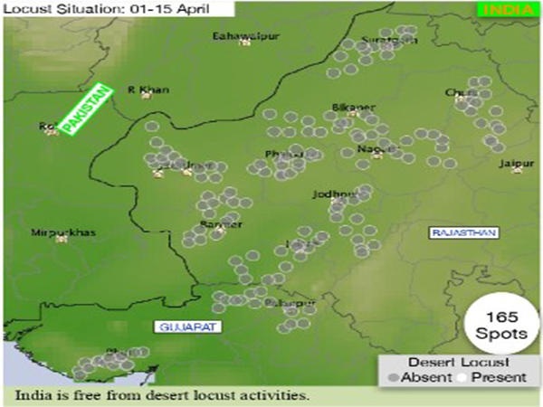India locust update (Image: X/@LocustIndia)