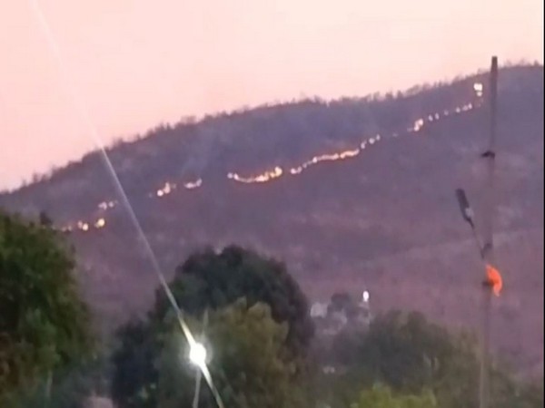 Wildfire breaks out in forest area in Andhra Pradesh's Nellore (Photo/ANI)