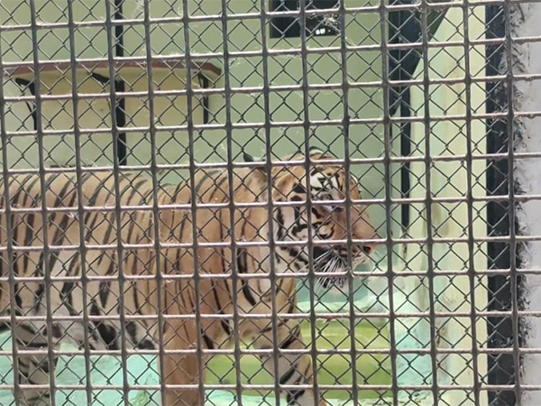 Animal in Alipore Zoological Garden in Kolkata. (Photo/ANI)