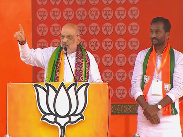 Union Home Minister Amit Shah (Photo/ANI)