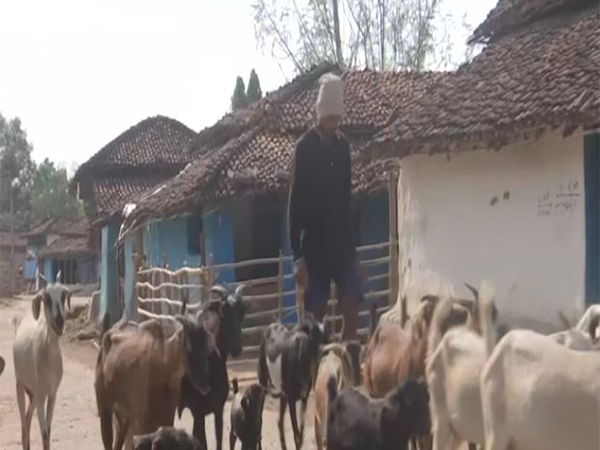 Bhojtola village (Photo/ANI)