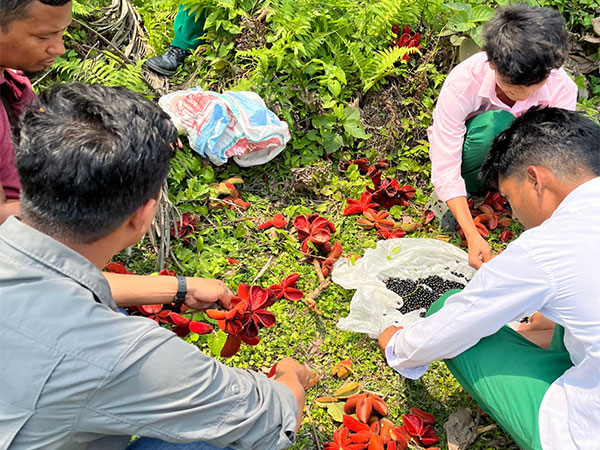 Students and community members collect seeds to restore elephant habitats in Assam (Photo/ANI)
