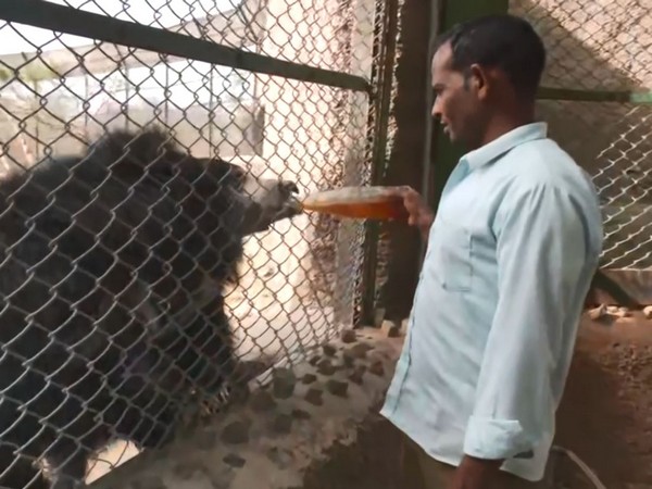 Nahargarh Biological Park makes special arrangements for animals (Photo/ANI)