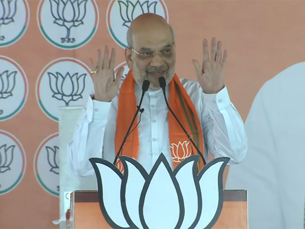 Union Home Minister Amit Shah (Photo/ANI)