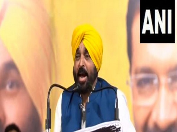 Punjab Chief Minister Bhagwant Mann (Photo/ANI)