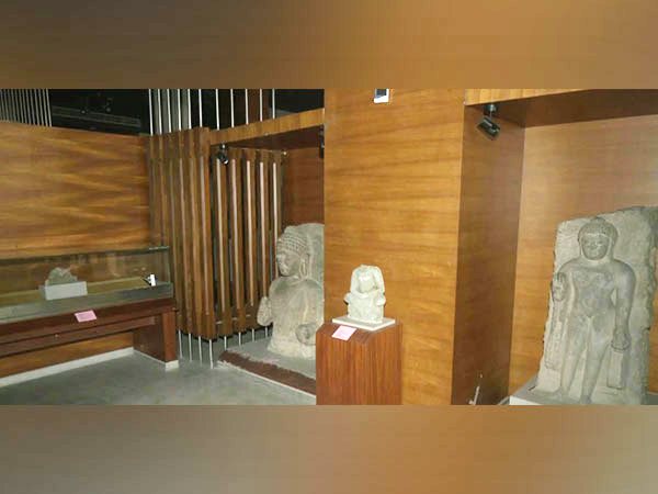 Inside view of Shri Pratap Singh museum (Photo/ANI)