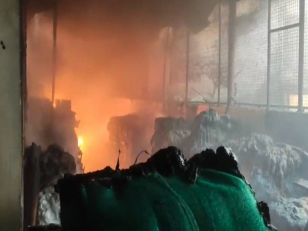 Fire engulfs fishing materials shop in Nellore (Photo/ANI) 