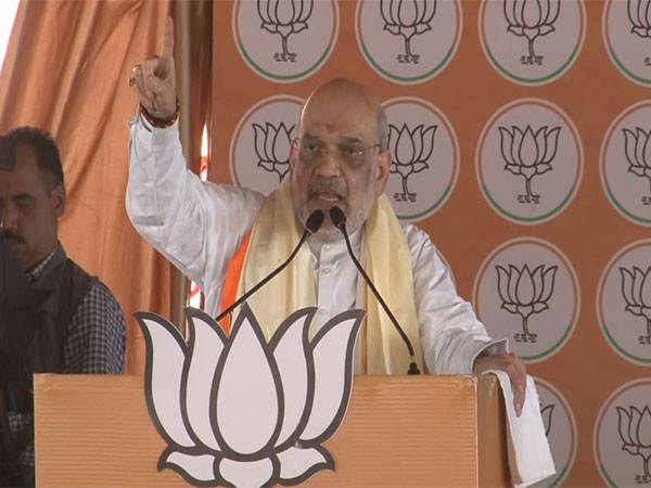 Union Home Minister Amit Shah. (Photo/ANI)