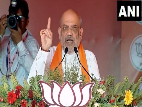 Union Home Minister Amit Shah (Photo/ANI)