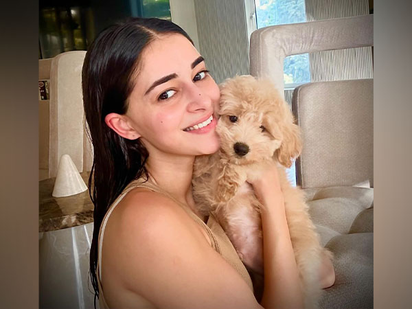 Ananya Panday (Image Source: Instagram)