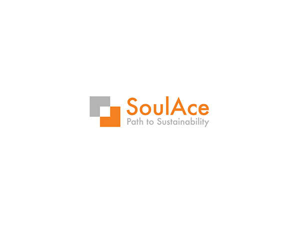  SoulAce