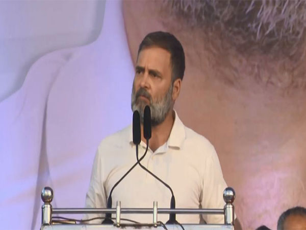 Congress MP Rahul Gandhi at Pune (Photo/ANI)