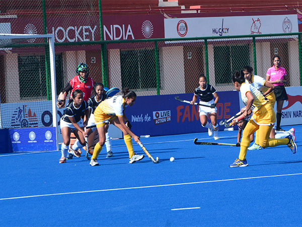 Hockey Haryana in action against Hockey Mizoram during National Women’s Hockey League 2024-25 (Image: HI)