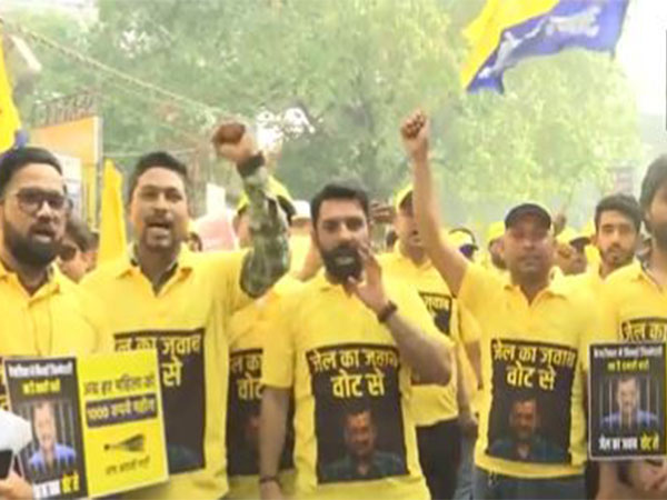 AAP organizes 'Jail ka Jawab Vote se' Walkathon event in Delhi (Photo/ANI)