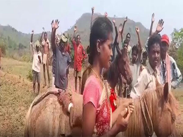 The tribals of Madrebu village of Anantgiri Mandal in Visakhapatnam district staged a protest by travelling on horses (Photo/ANI)