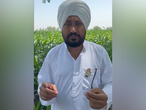 Former Punjab Chief Minister Charanjit Singh Channi. (Photo/ANI)