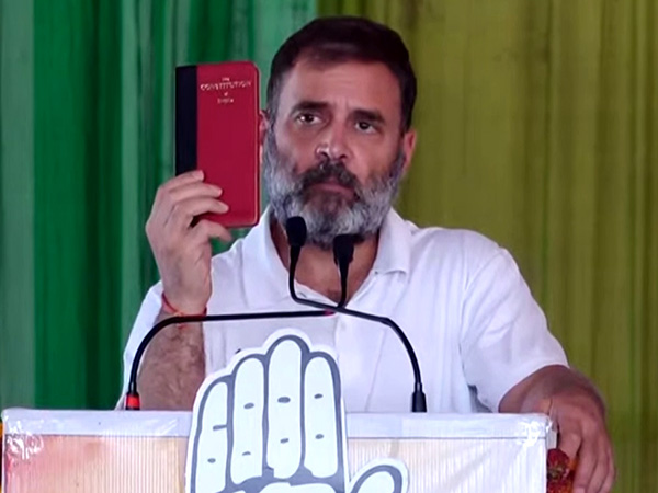 Congress leader Rahul Gandhi. (Photo/ANI)