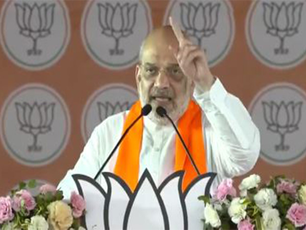 Union Home Minister Amit Shah (Photo/ANI)