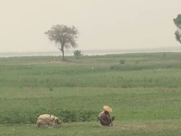 Visual of Suryanagar Colony, Murshidabad (Photo/ANI)