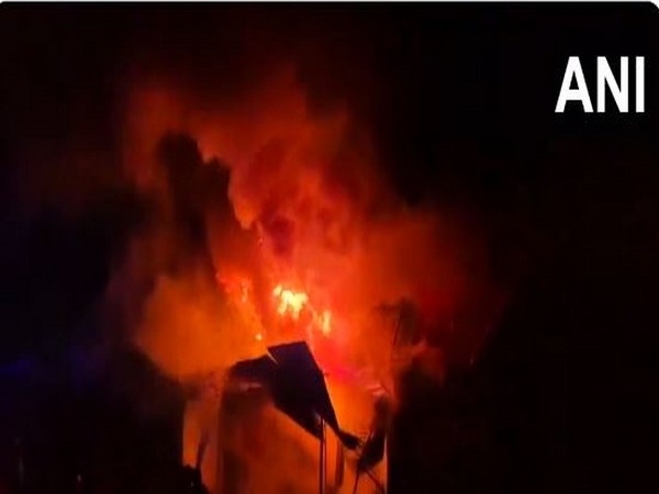 Fire breaks out at three shops in Madhya Pradesh's Mandla (Photo/ANI)