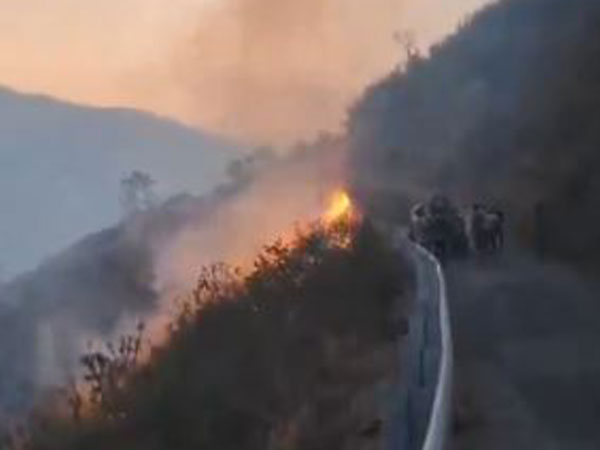 Forest fire in Pauri Garhwal region (Photo/ANI)