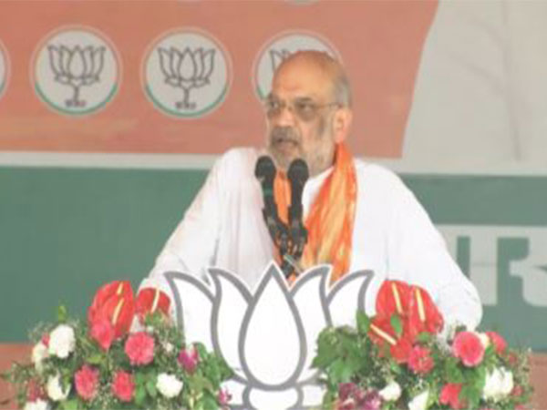 Union Home Minister Amit Shah. (Photo/ANI)