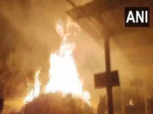 Fire breaks out in bamboo nursery in Gujarat's Navsari (Photo/ANI)
