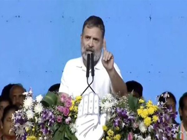 Congress leader Rahul Gandhi (Photo/Congress)