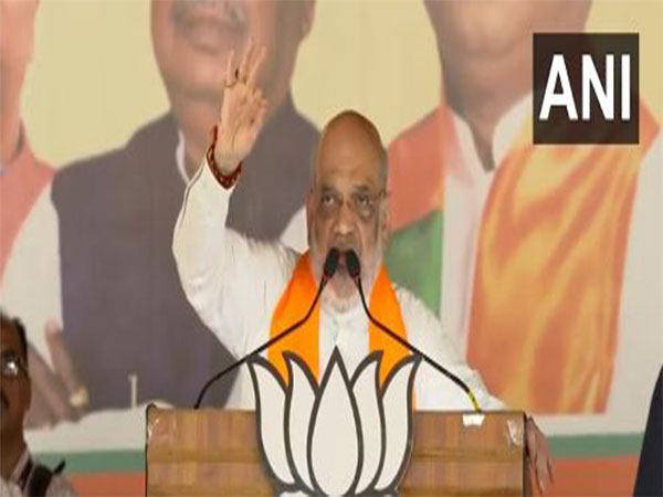 Union Home Minister Amit Shah (Photo/ANI)