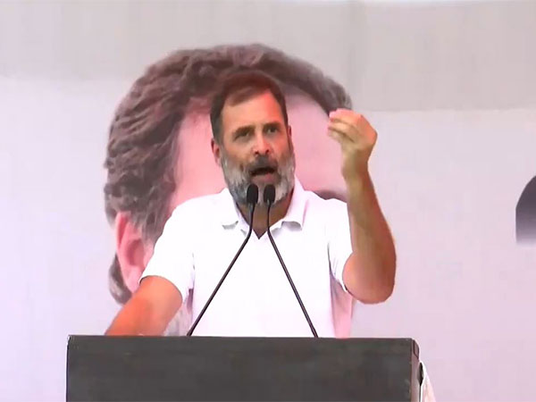 Congress leader Rahul Gandhi (Image/ANI)