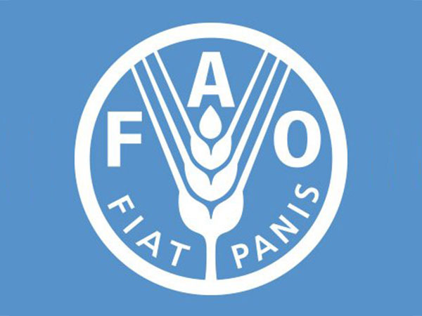 Food and Agriculture Organisation of the United Nations