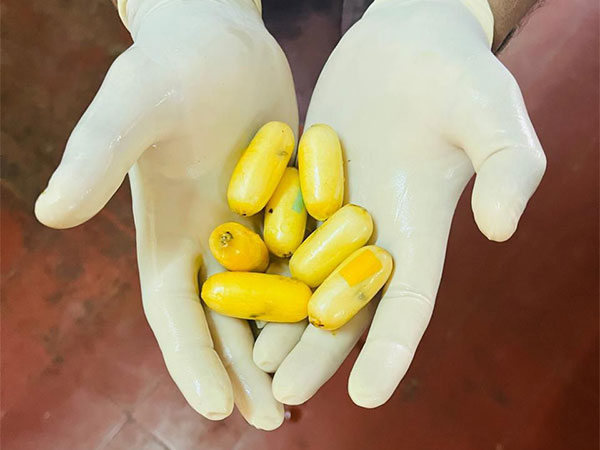 Directorate of Revenue Intelligence seizes cocaine worth over Rs 9 crore from foreign national (Image/ANI)