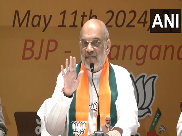 Union Home Minister Amit Shah. (Photo/ANI)