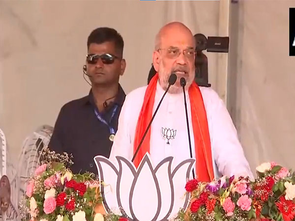 Union Home Minister Amit Shah (Photo/ANI) 