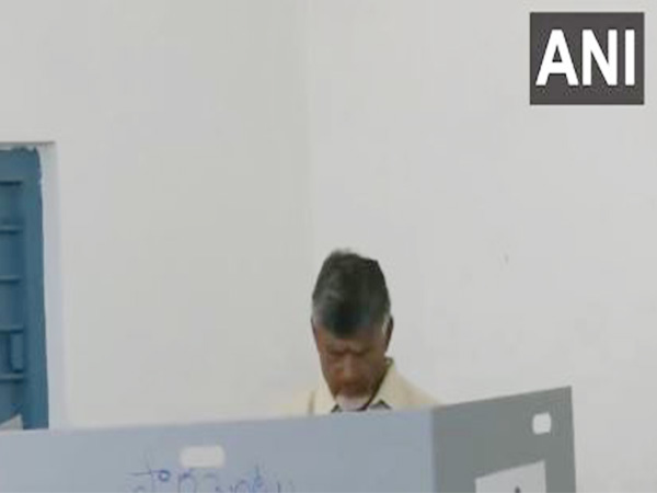 Chandrababu Naidu casts vote in Andhra Pradesh's Guntur (Photo/ANI)