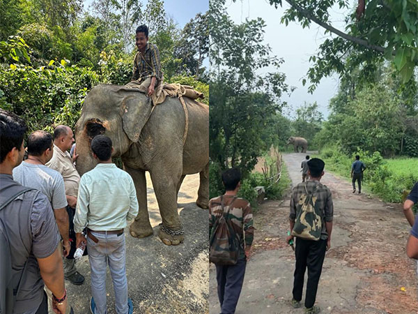 Forest officials on a drive to radio collar elephant in Tripura's Khowai region. (Photo/ANI)