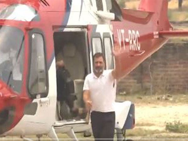 Rahul Gandhi in Raebareli for poll campaign (Photo/ANI)