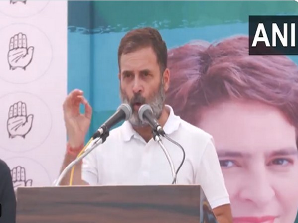 Congress leader Rahul Gandhi (Photo/ANI)
