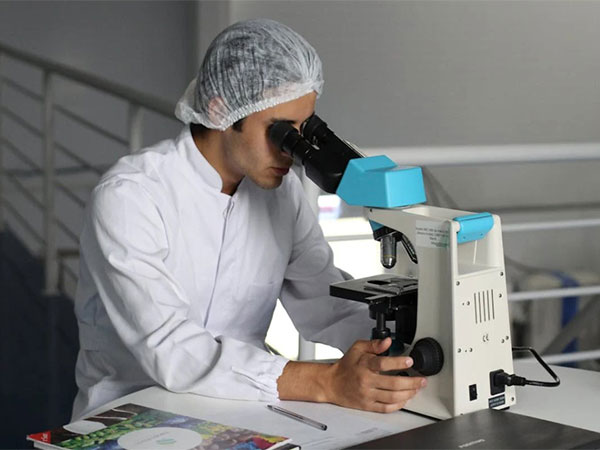 Representative Image (Pexels.com)