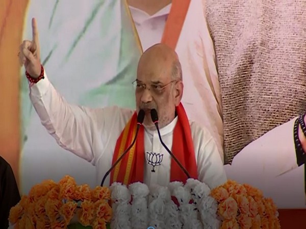 Union Home Minister Amit Shah. (Photo/ANI)