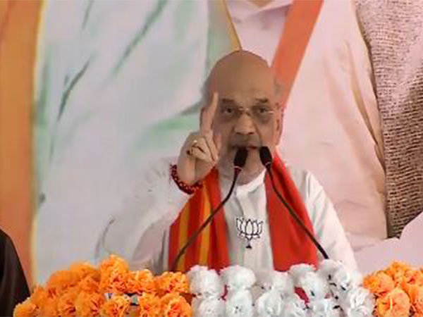 Union Home Minister Amit Shah (Photo/ANI)