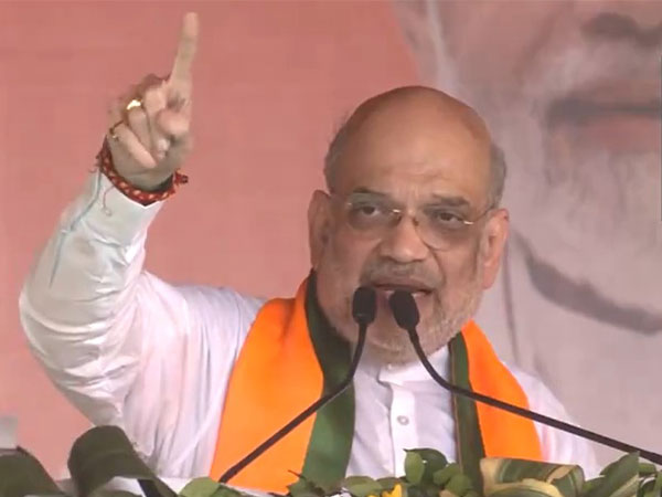 Union Home Minister Amit Shah (Photo/ANI)