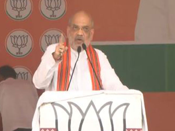 Union Home Minister Amit Shah (Photo/ANI)