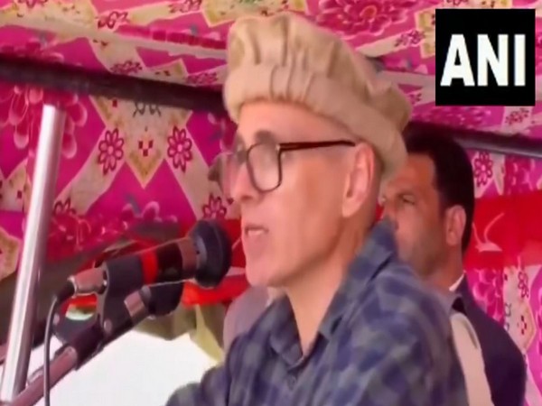 National Conference Vice President Omar Abdullah (Photo/ANI)